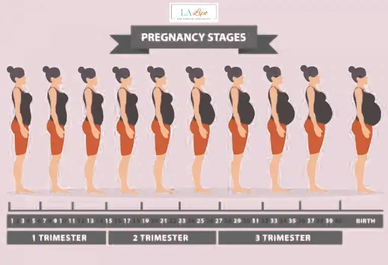 First Trimester (Weeks 1–12): Early Changes You Might Not Notice Ayr